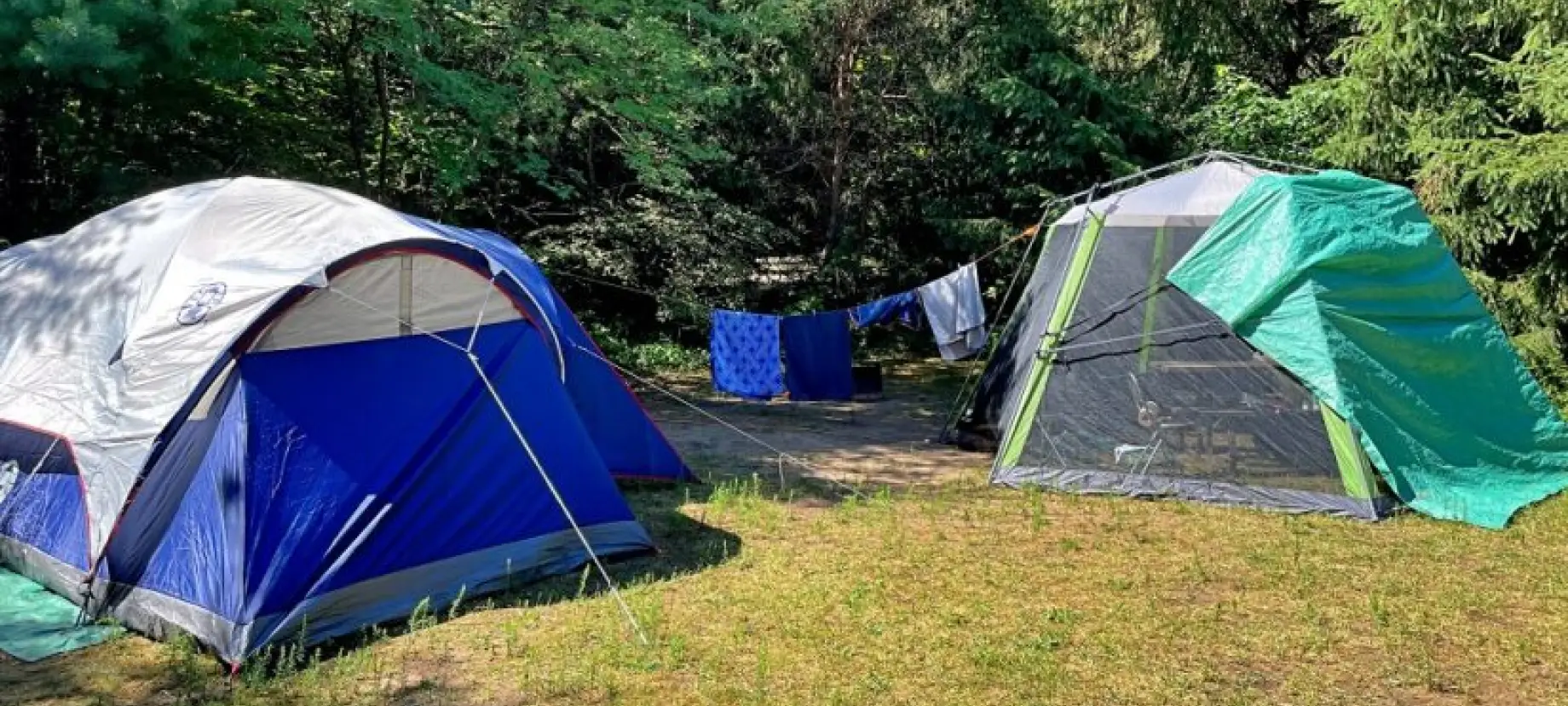 1021c488-b466-4335-a06f-155ca0e57f37