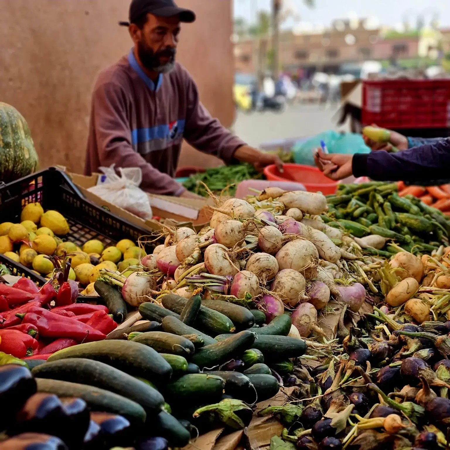 20241025_113748-1536×1536