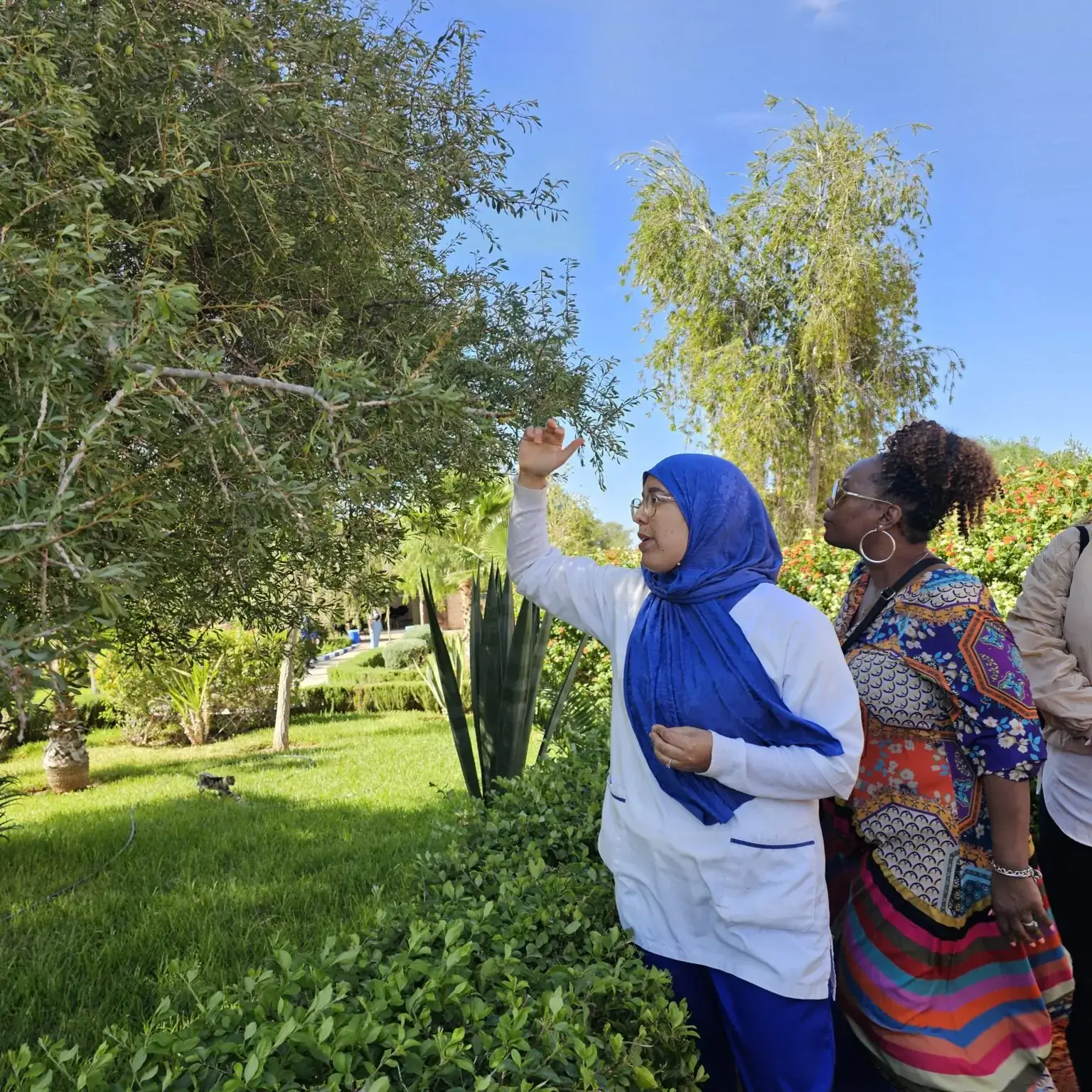 20241026_124959-1536×1536