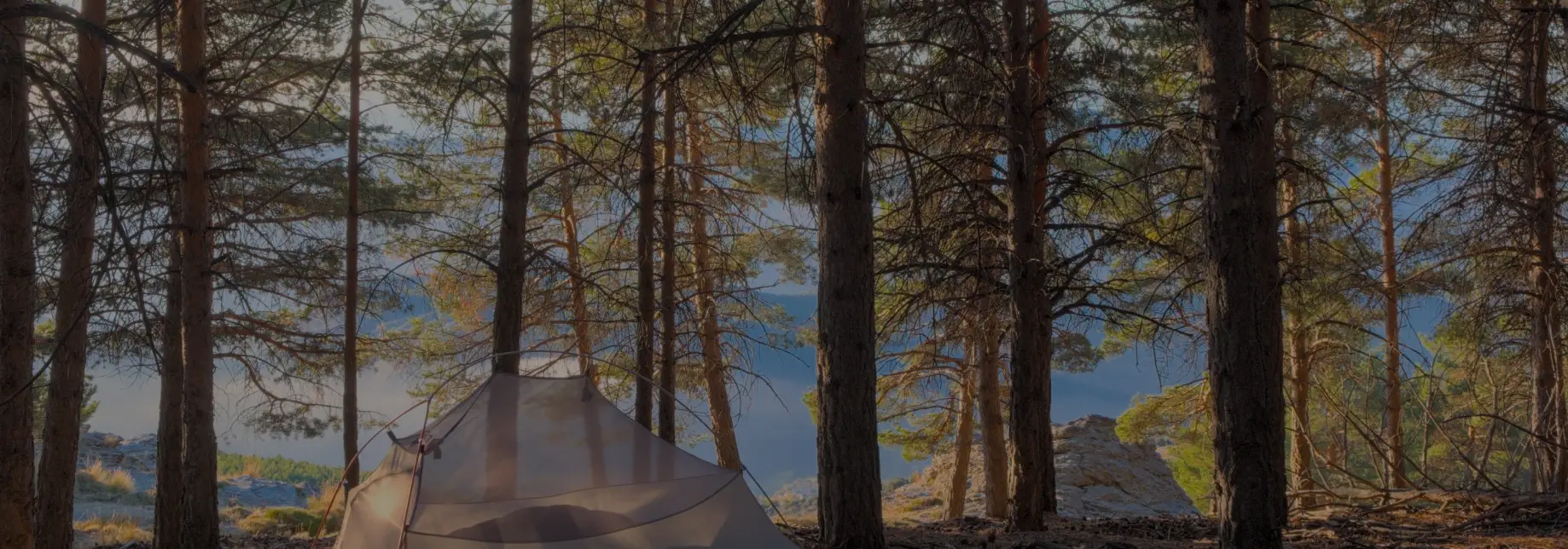 5b692890-7422-4fce-9757-d68ae39c8198