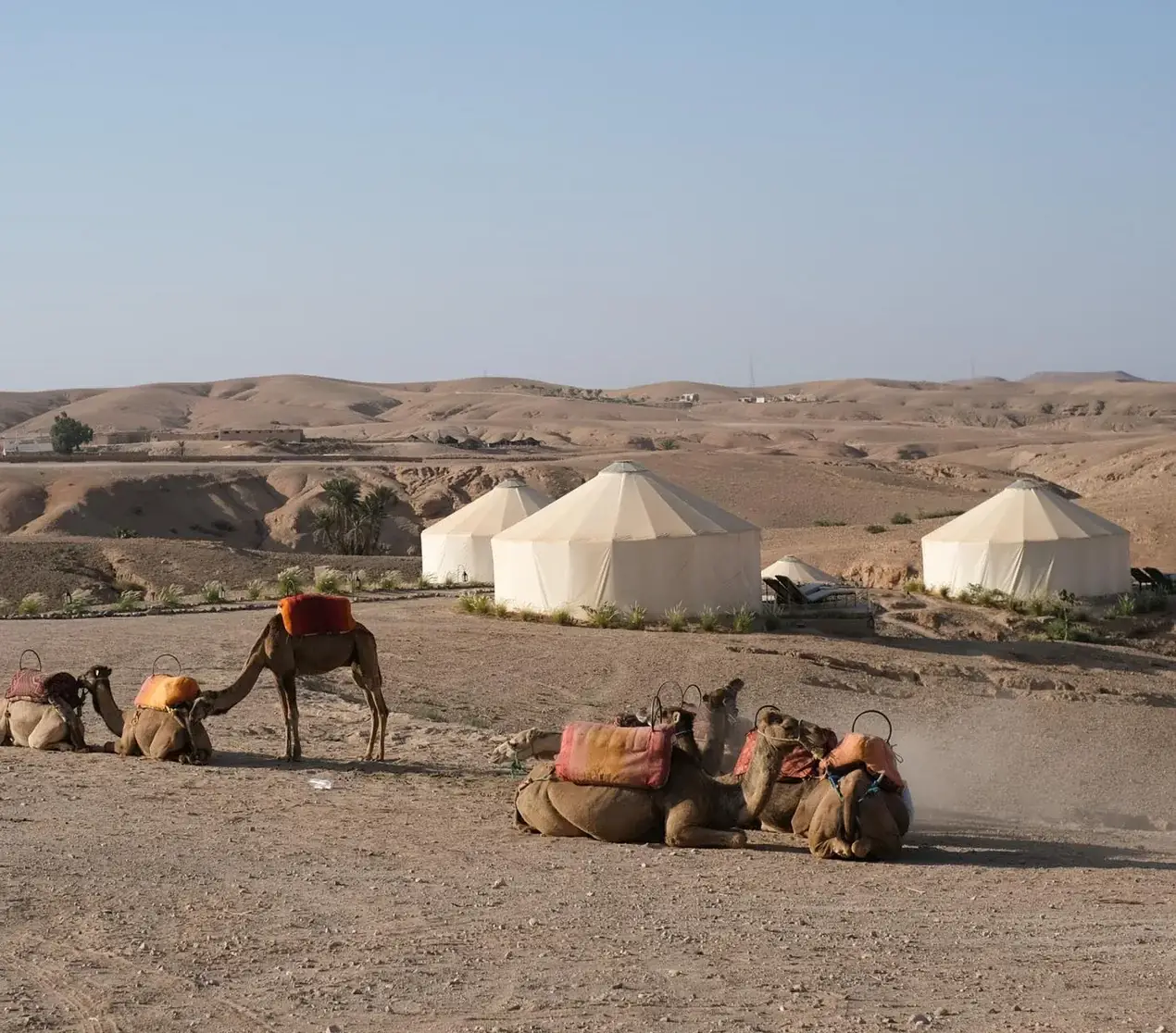 Screenshot-2025-01-04-033534