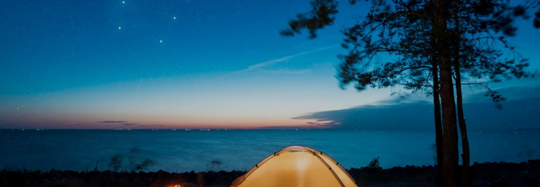 75378a9f-e156-4f7d-a68f-6e20f6c0b4c8