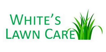 Screenshot 2024-09-07 003424